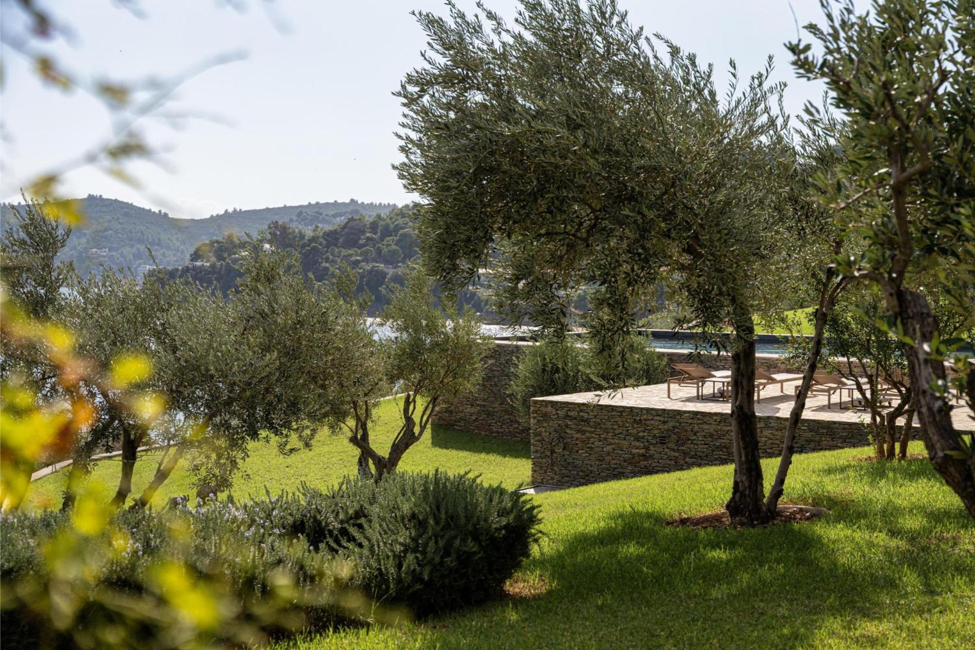 Pelagoon Skiathos Achladies  Pokoj fotografie